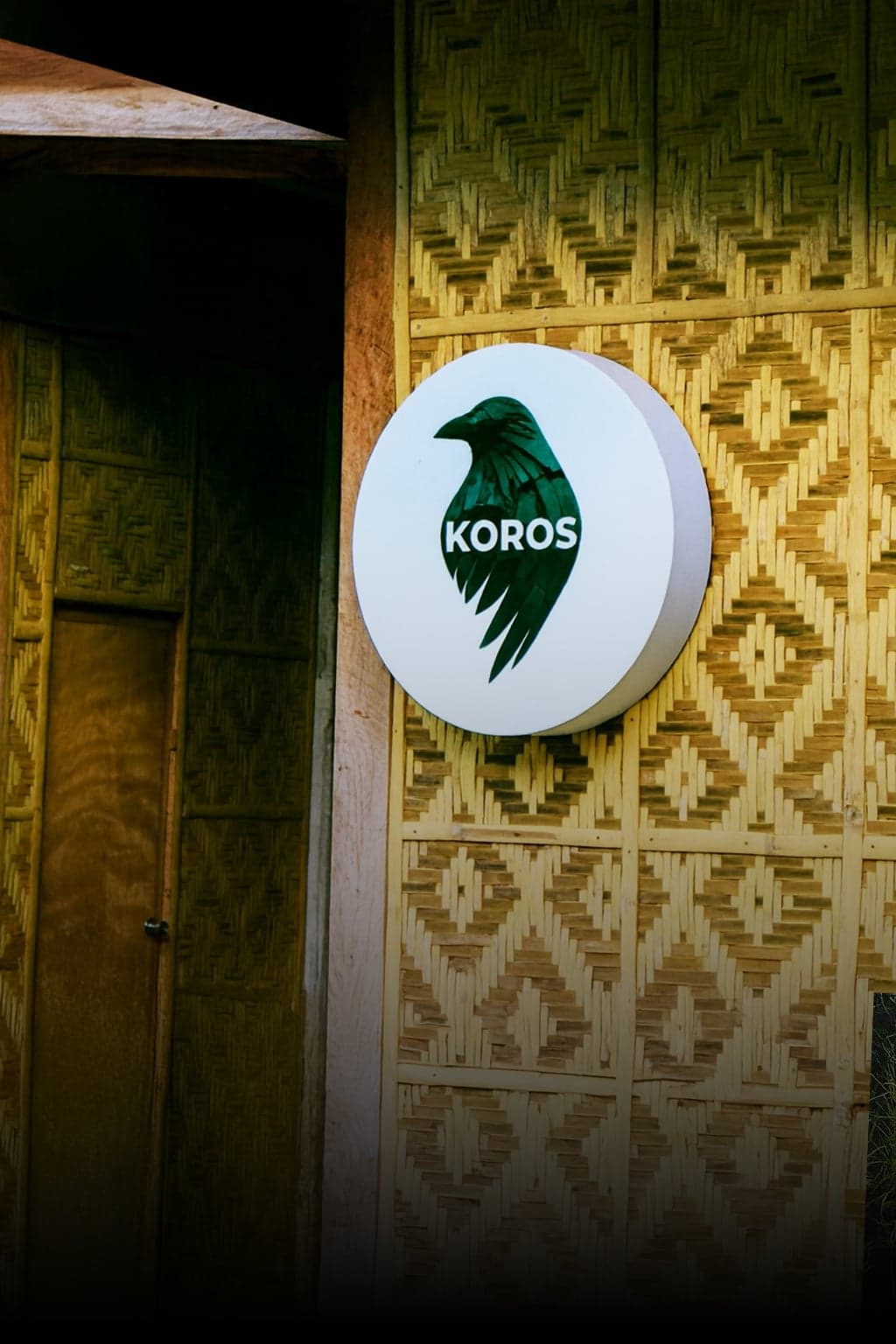 Biochar production plant